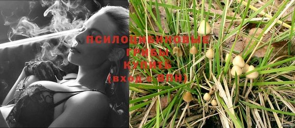 мдпв Нефтекумск