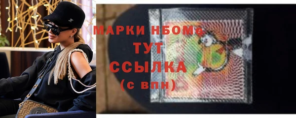 тгк Абаза