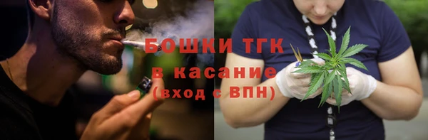 тгк Абаза