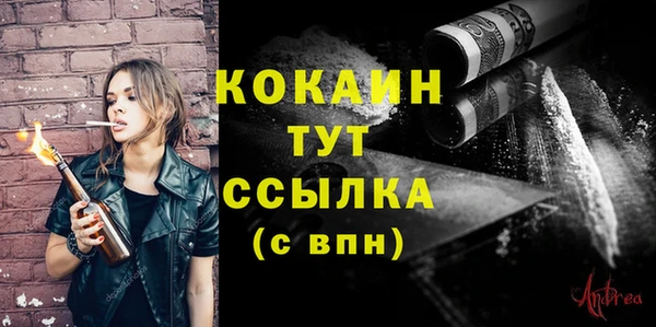 тгк Абаза