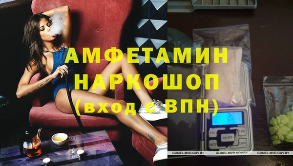 apvp Алзамай