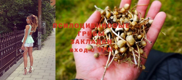 дурь Абинск