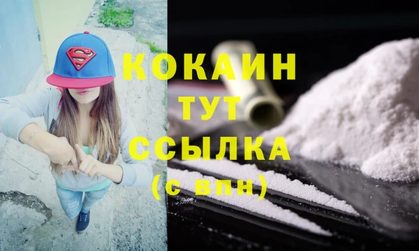 тгк Абаза