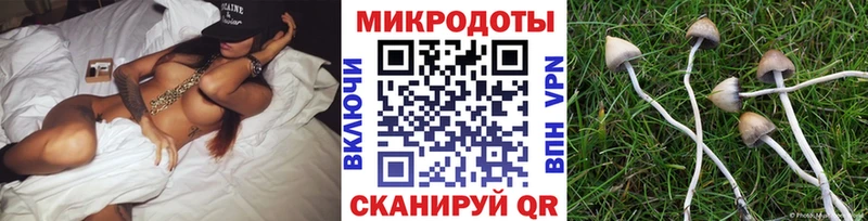 блэк спрут рабочий сайт  Инта  Псилоцибиновые грибы Cubensis 